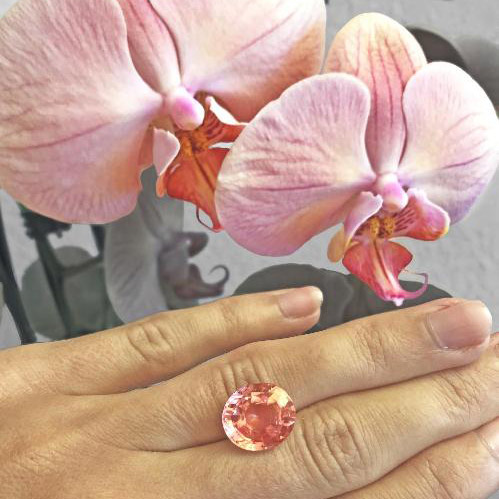 A magnificent padparadscha sapphire of almost 10 ct
Mélanie Matthes 2021-05-13 4